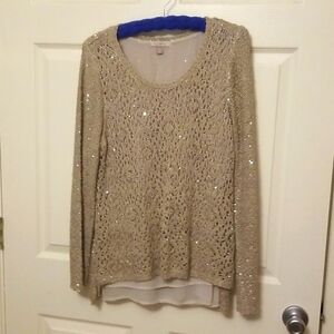 Ladies sweater